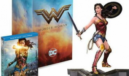 神奇女侠漫画集,英勇无畏，守护正义的传奇历程